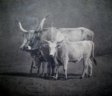 Famille de Boeufs Frolant