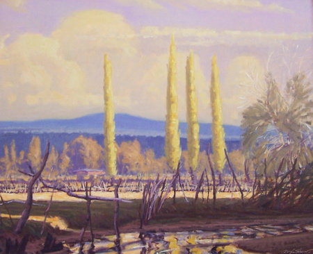 Back Fences of Chimayo