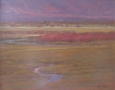 Spring-Willows-on-Fish-Creek