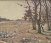 Forest-Landscape