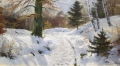 Tracks-through-the-Forest
